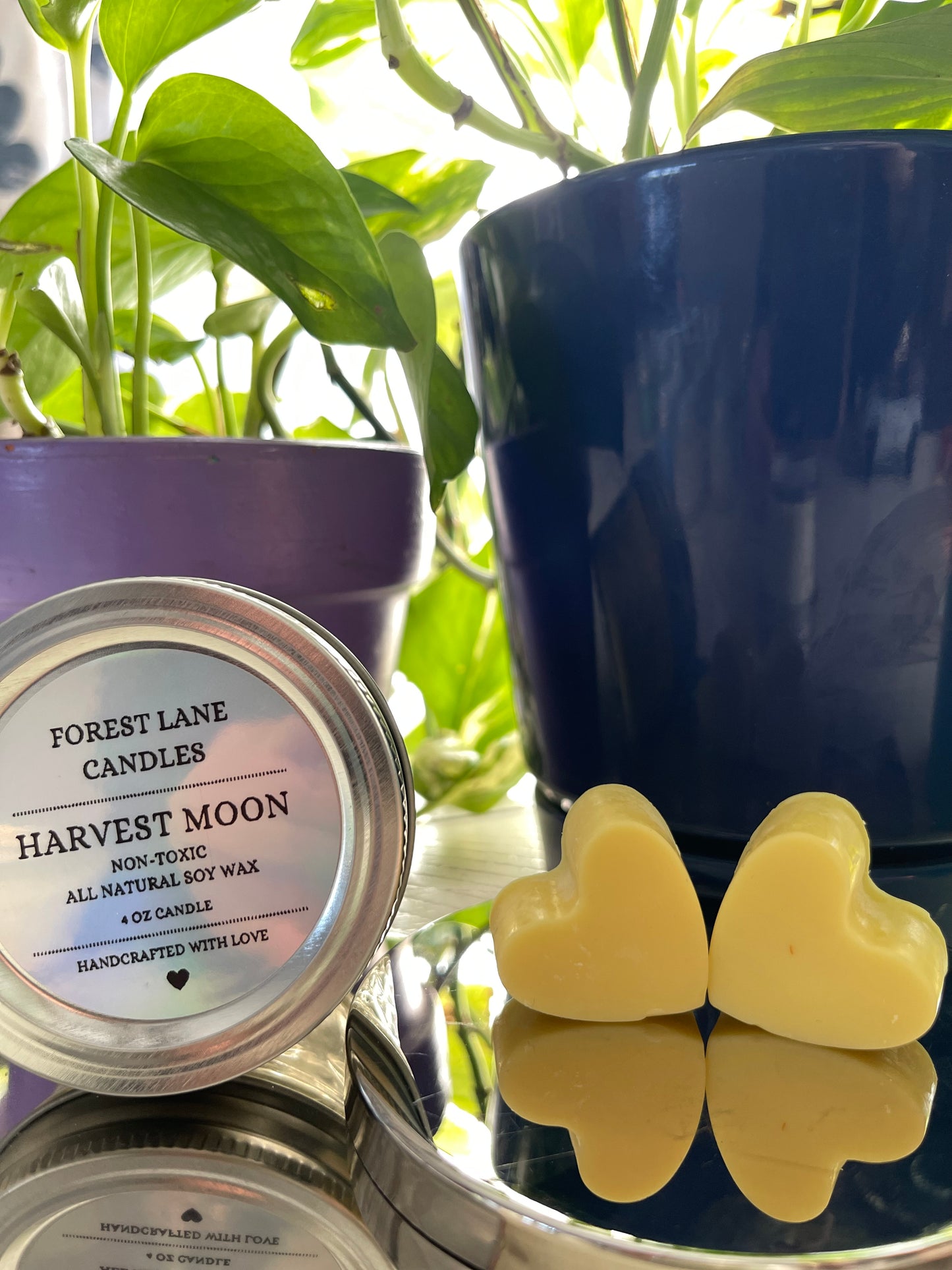 Harvest Moon - Wax Melts
