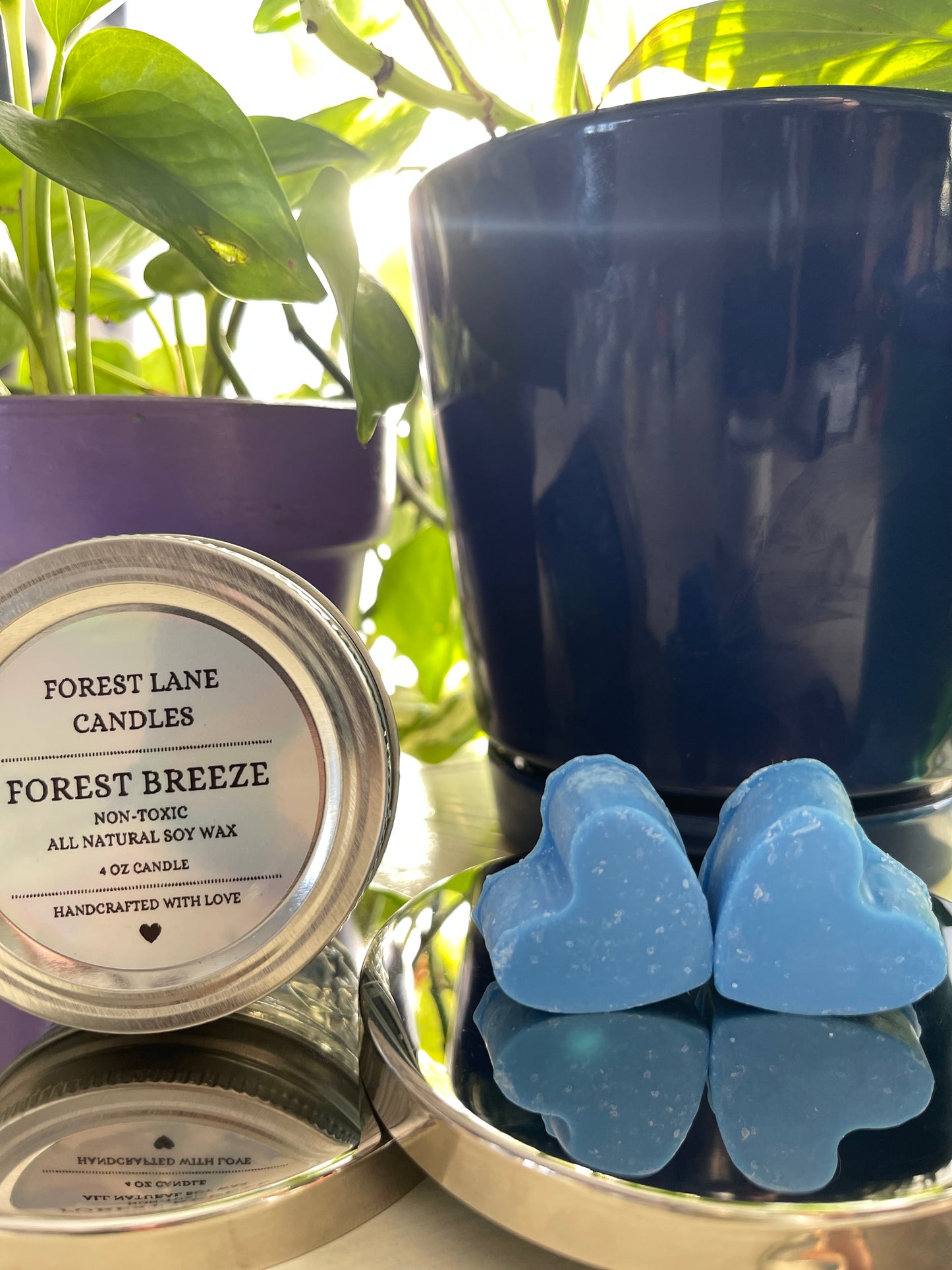 Forest Breeze - Wax Melts