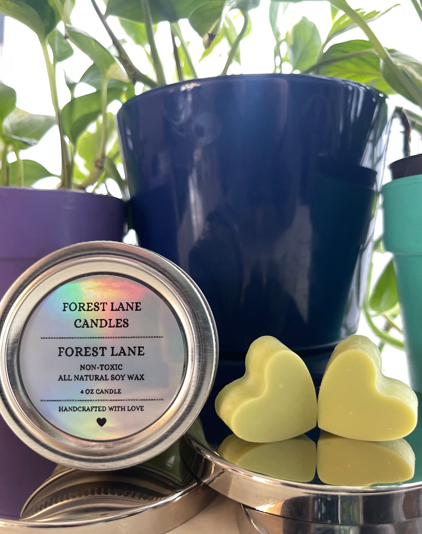 Forest Lane - Wax Melts