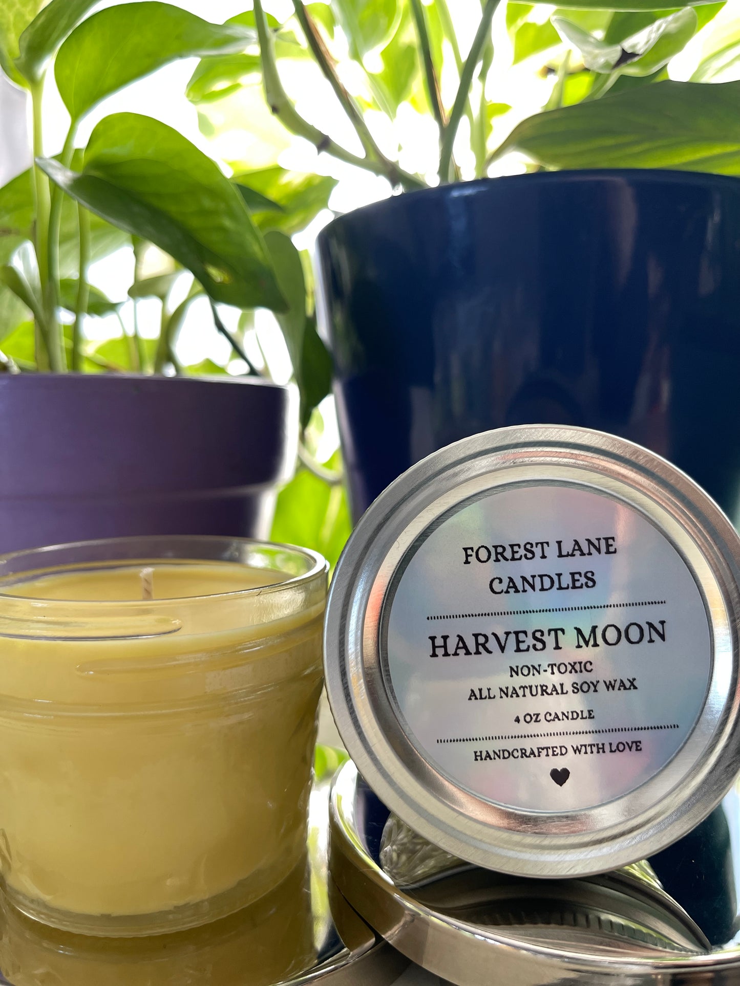 Harvest Moon - 4oz