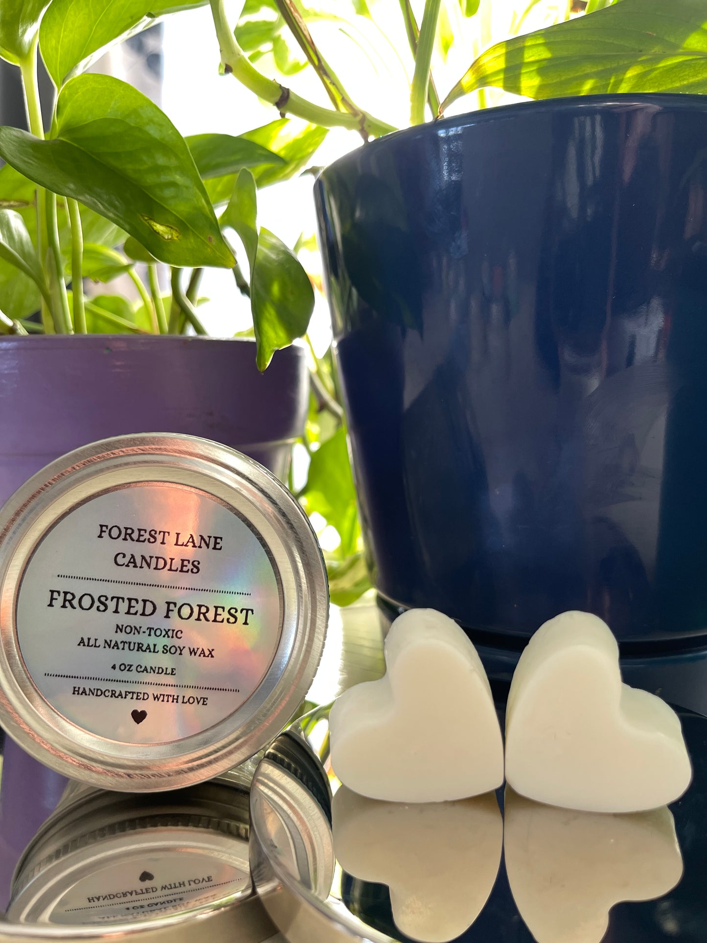 Frosted Forest - Wax Melts