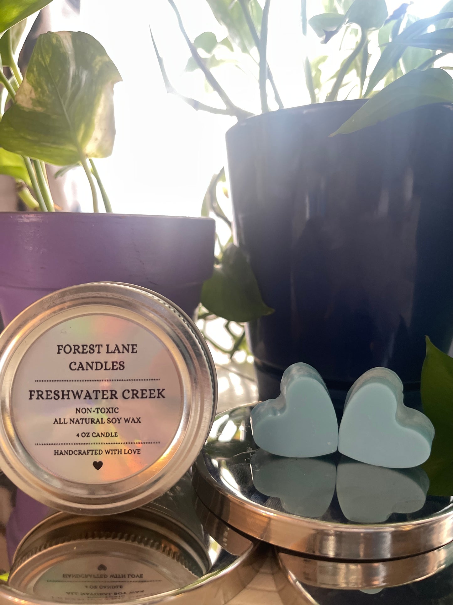 Freshwater Creek - Wax Melts