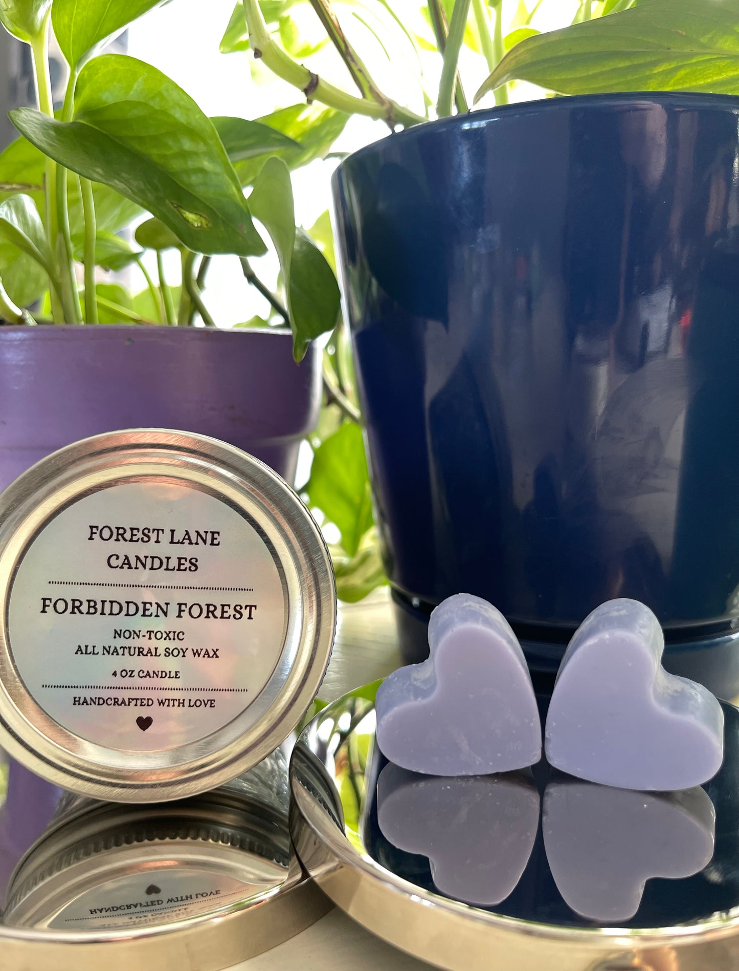 Forbidden Forest - Wax Melts